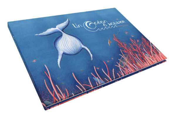 livre environnements déchets tours le beguin de Charlie concept store album de jeunesse kids cadeaux un océan à sauver Caroline nouveau