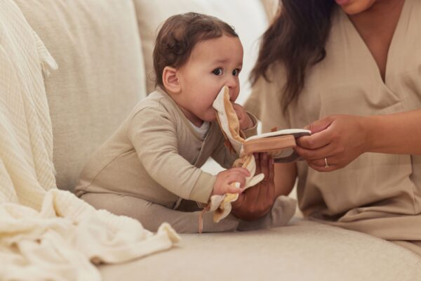 Jollein livre en tissu animaux miroir toucher éveil sens accessoires bebe enfants cadeaux naissance le béguin de Charlie concept store tours
