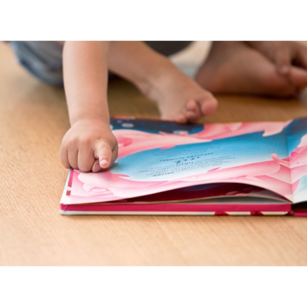 Sassi livres albums illustrés livres sonores touche a tout couleur formes animaux parents enfants cadeaux lecture repos le béguin de Charlie concept store tours
