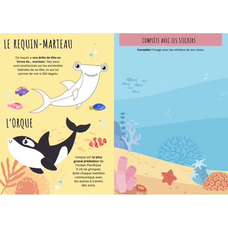 livre-activites-sassi-le-beguin-de-charlie-concept-store-tours13 Sassi livres albums illustrés livres sonores touche a tout couleur formes animaux parents enfants cadeaux lecture repos le béguin de Charlie concept store tours