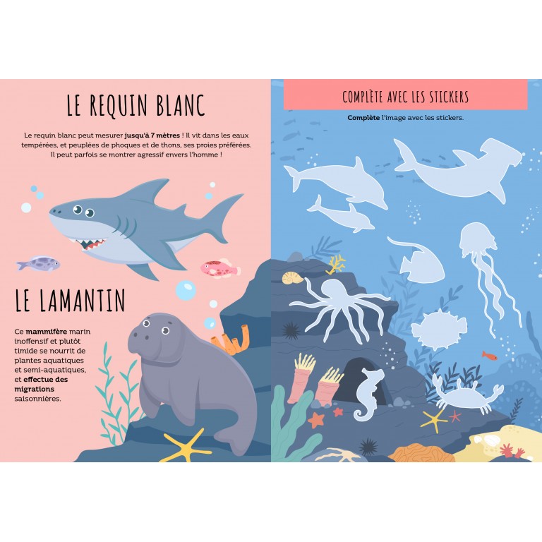 livre-activites-sassi-le-beguin-de-charlie-concept-store-tours14 Sassi livres albums illustrés livres sonores touche a tout couleur formes animaux parents enfants cadeaux lecture repos le béguin de Charlie concept store tours