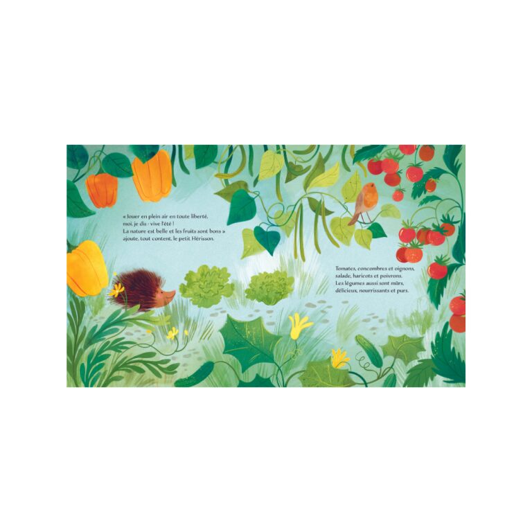 album de jeunesse lete le beguin de charlie livre album de jeunesse collection lire histoire histoires du soir cadeau livre musicaux dessin enfant bebe lecture parents naissance concept store kids enfant tours indre et loire vieux tours magasin centre le beguin de charlie commerce site internet été saison