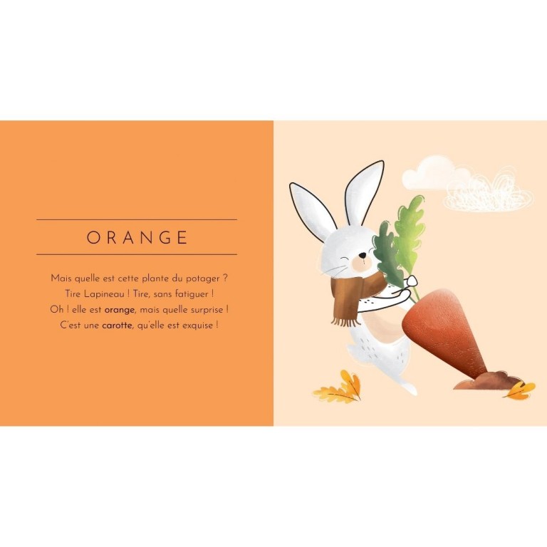 touche a tout les couleurs livre jeunesse le beguin de charlie livre album de jeunesse collection lire histoire histoires du soir cadeau livre musicaux dessin enfant bebe lecture parents naissance concept store kids enfant tours indre et loire vieux tours magasin centre le beguin de charlie commerce site internet matière toucher découverte apprentissage