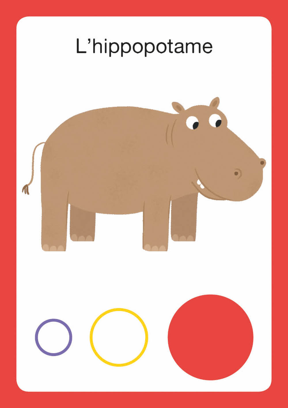 animaux-du-monde-bataille-jeu-auzou-le-beguin-de-charlie jeu de carte - bataille animaux du monde - jeu de société enfants et famille - de la marque Auzou - disponible en ligne et en boutique chez Le béguin de Charlie à Tours