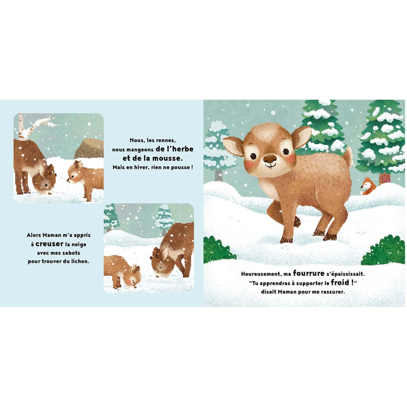 livre-album-jeunesse-1-2-3-soleil-le-beguin-de-charlie livre enfants "petit renne" - histoire et album de jeunesse sur le cycle de vie d'un renne - idée de cadeau de Noël - de la marque 1 2 3 soleil - disponible en ligne et en boutique chez Le béguin de Charlie à Tours